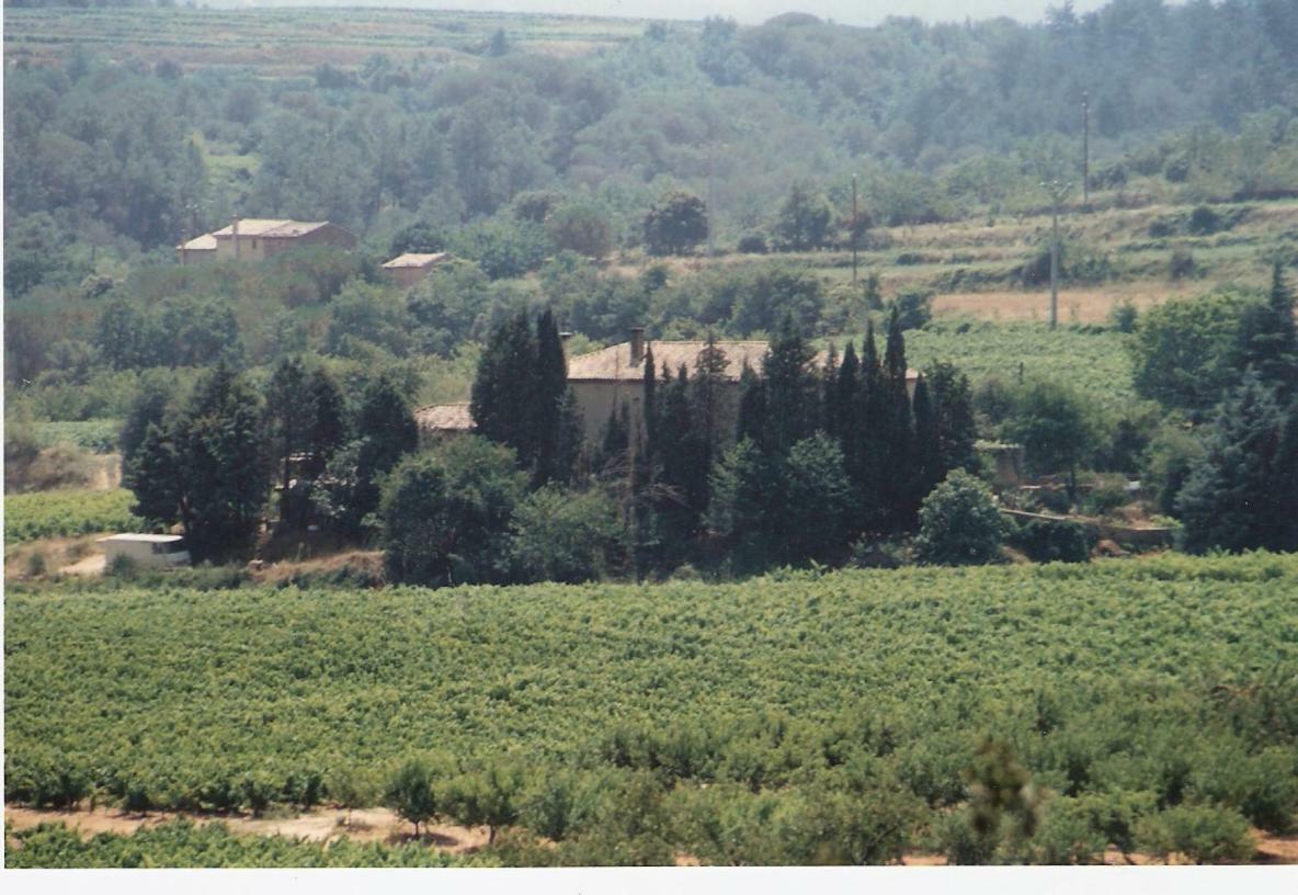 Saint-Andre-d'Olerargues Domaine Chanoine Rambert المظهر الخارجي الصورة